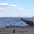 Attaques Russes contre les Navires Marchands en Mer Noire