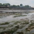 La crise de l&rsquo;eau de la Garonne : impacts et solutions face au changement climatique