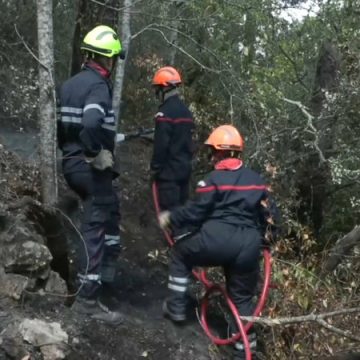 11be7487-9a17-4315-a3b2-19c131847a0b Interdiction de la chasse dans les zones incendiées du Var