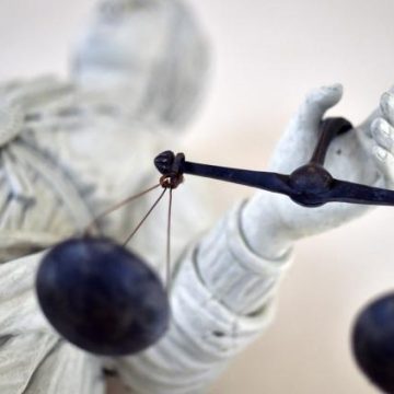 13a8fc16-147f-40ad-a53a-6bc20458dcf8 Procès des membres du clan Hamidovic pour exploitation d’enfants