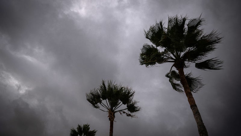 1442bd3f-6d0e-496f-9a40-aae644f7d852 L’ouragan Polo frappe la Basse-Californie du Sud