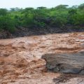 El Niño : Préparations en Afrique de l&rsquo;Est face à un Phénomène Météorologique