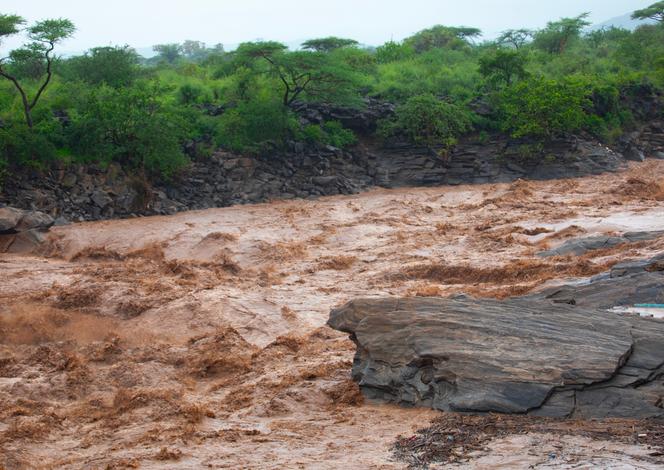 14beae96-6bab-4060-a619-11906ebe654c El Niño : Préparations en Afrique de l’Est face à un Phénomène Météorologique