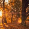 Le Début de l&rsquo;Automne Météorologique dans l&rsquo;Hémisphère Nord
