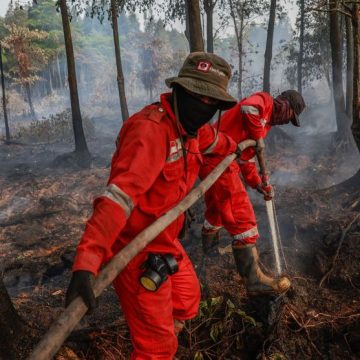 Wildfires expand across South Sumatra and neighboring regions in Indonesia Indonésie : Une année dévastatrice en matière d’incendies de forêt