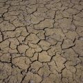 Sécheresse à Arbouans : État de catastrophe naturelle reconnu
