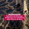 Opération de Déminage à Metz et Enquête sur Intoxications par E. coli