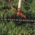 Entretien des pelouses après un été sec : que faire ?