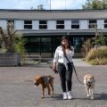 Excuses du gouvernement néerlandais pour les enfants en institutions psychiatriques fermées