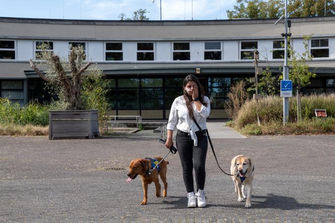 4f84cd80-fff9-4e5a-96a6-32c09c7c2486 Excuses du gouvernement néerlandais pour les enfants en institutions psychiatriques fermées