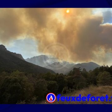 Incendie à Puilaurens : Évacuations et Lutte Contre les Flammes