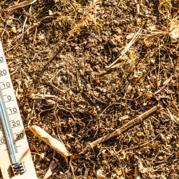 5a3c4864-9c56-4377-9276-b241d8ad1d9a Records de chaleur en septembre en France