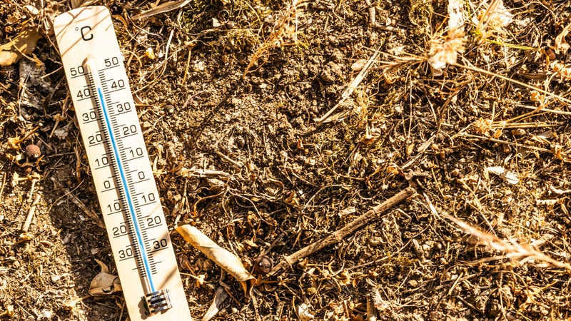5a3c4864-9c56-4377-9276-b241d8ad1d9a Records de chaleur en septembre en France