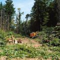 Manifestation contre le projet de l&rsquo;A412 en Haute-Savoie