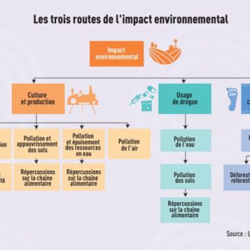 6f487721-796c-4613-b232-ee827bf18b8b Drogues de synthèse : Un coût environnemental alarmant