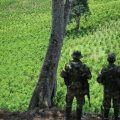 Un soldat de la Légion étrangère évadé d&rsquo;une captivité en Colombie