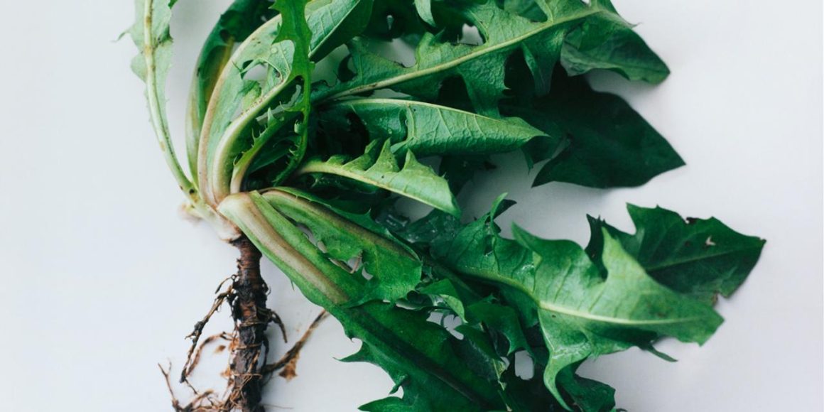 Alimentation sportive : huit recettes équilibrées pour le bien-être