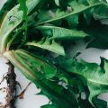 Alimentation sportive : huit recettes équilibrées pour le bien-être