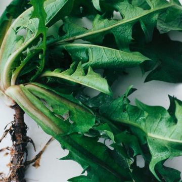 Alimentation sportive : huit recettes équilibrées pour le bien-être