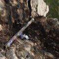 Incendie aux Pennes-Mirabeau provoqué par des mineurs