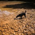 El Niño 2026 atteint des niveaux alarmants