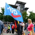 La Radicalité de l&rsquo;AfD dans le Paysage Politique Allemand