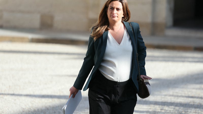 a25a1f88-4018-49d1-9f1c-0e4451b6cd2c Marine Tondelier : Une campagne présidentielle marquée par la maternité