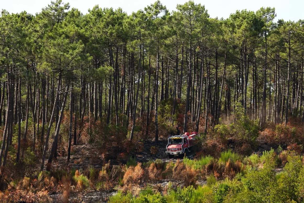 Destruction de Parcelles Scientifiques par le Feu: Un Choc et une Opportunité
