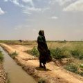 La Sédentarisation des Pasteurs Nomades en Éthiopie