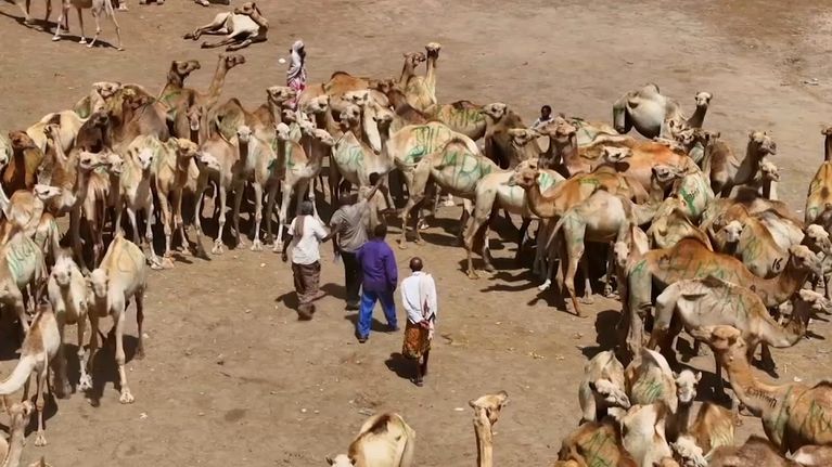 afdbea9d-50ec-4eff-8c60-0f089aff79d0 Un regard approfondi sur le Somaliland, un État autoproclamé