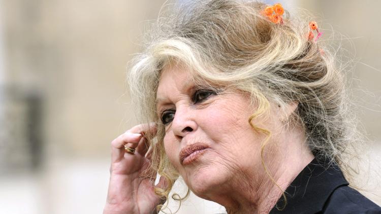 b627e5f8-d37d-46d5-8358-7c4957ed4790 Exposition et vente aux enchères des souvenirs de Brigitte Bardot
