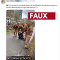 La vérité derrière la vidéo des supposées mobilisations forcées en Ukraine
