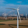 Relaxation d&rsquo;EDF Renouvelables pour la mort de faucons protégés
