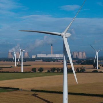 c8347ca0-e667-4991-ac01-7f7433144131 Relaxation d’EDF Renouvelables pour la mort de faucons protégés