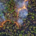 Lutte contre les incendies : Eutelsat et OroraTech unissent leurs forces
