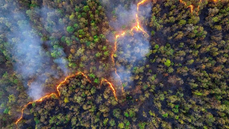 db75ed5a-67e0-452c-b32b-c161b4d45493 Lutte contre les incendies : Eutelsat et OroraTech unissent leurs forces