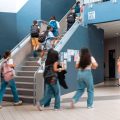 Les Défis de l&rsquo;Excellence Scolaire en France