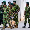 Attentats au Sri Lanka : des condamnations après cinq ans