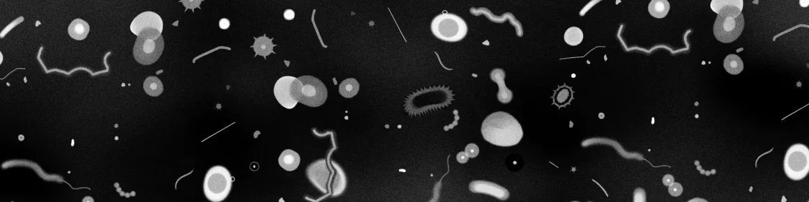 f40cde92-c08f-4cc8-9ba8-770849de2a32 Série horrifique sur le thème du parasite