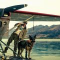 Le duo homme-chien dans un « survival » inattendu