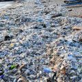 Mobilisation contre la Pollution Littorale dans le Finistère