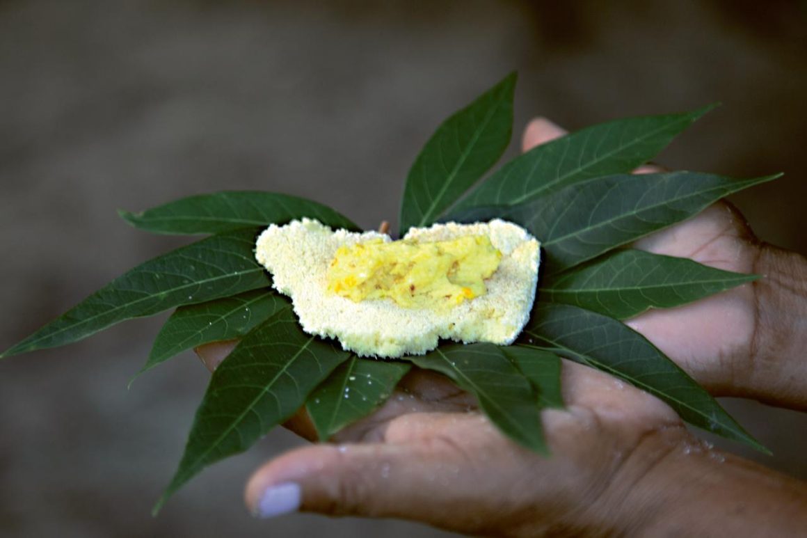 Un atlas alimentaire pour préserver les recettes et traditions amazoniennes