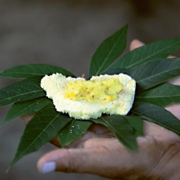 Un atlas alimentaire pour préserver les recettes et traditions amazoniennes