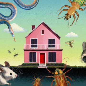 1d797b6c-098b-4d51-8dca-9f2891ccda11 Se Mettre dans la Peau d’une Couleuvre : Une Expérience Inédite