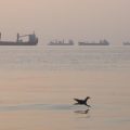 L&rsquo;Iran annonce la capture d&rsquo;un drone américain et accuse des navires de désactiver leurs systèmes de navigation