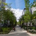La rue Lamartine de Pau se végétalise