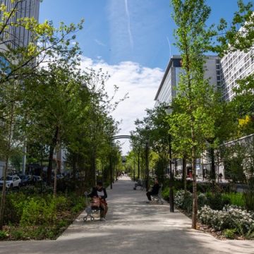 La rue Lamartine de Pau se végétalise