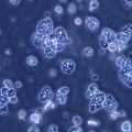 La transition stratégique d&rsquo;Amoéba vers le biocontrôle agricole et cosmétique