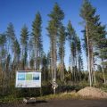 Les Autorités Finlandaises Demandent l&rsquo;Arrêt des Travaux de Google pour Évaluation Environnementale