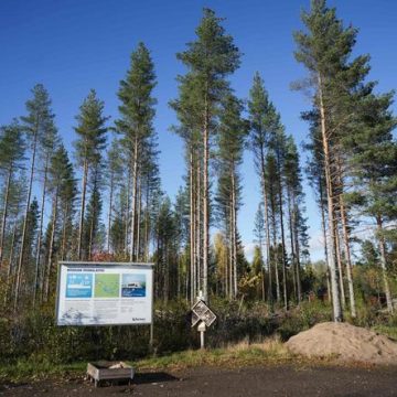 Les Autorités Finlandaises Demandent l&rsquo;Arrêt des Travaux de Google pour Évaluation Environnementale